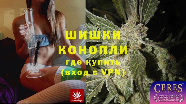 ГАЛЛЮЦИНОГЕННЫЕ ГРИБЫ Абаза