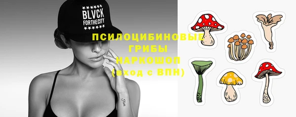 ГАЛЛЮЦИНОГЕННЫЕ ГРИБЫ Абаза