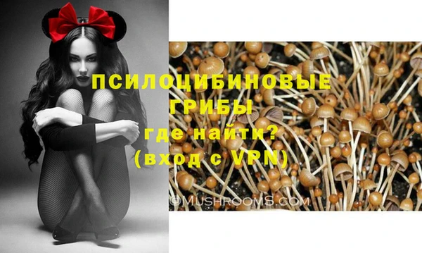 герыч Алексеевка