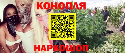 амф Гай